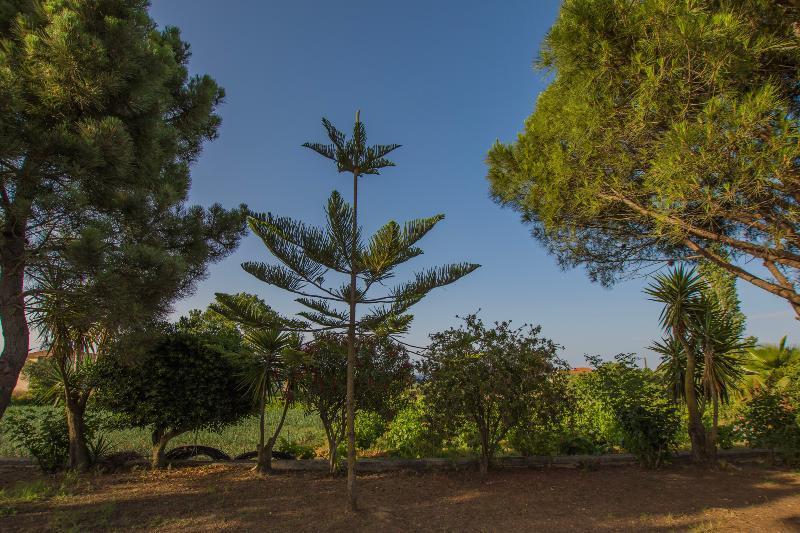 Porto Giardino Apartments Psarou  Екстер'єр фото